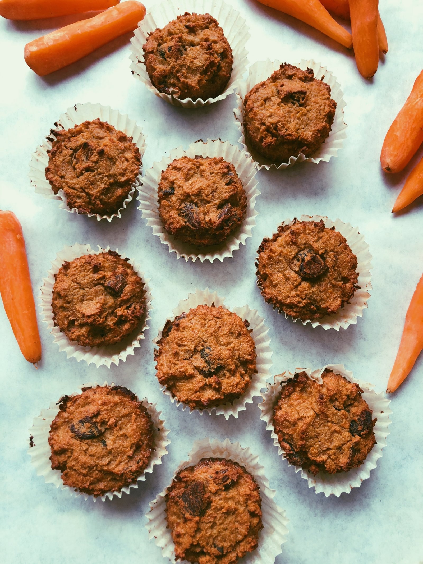 carrot apricot muffins grain free scd diet