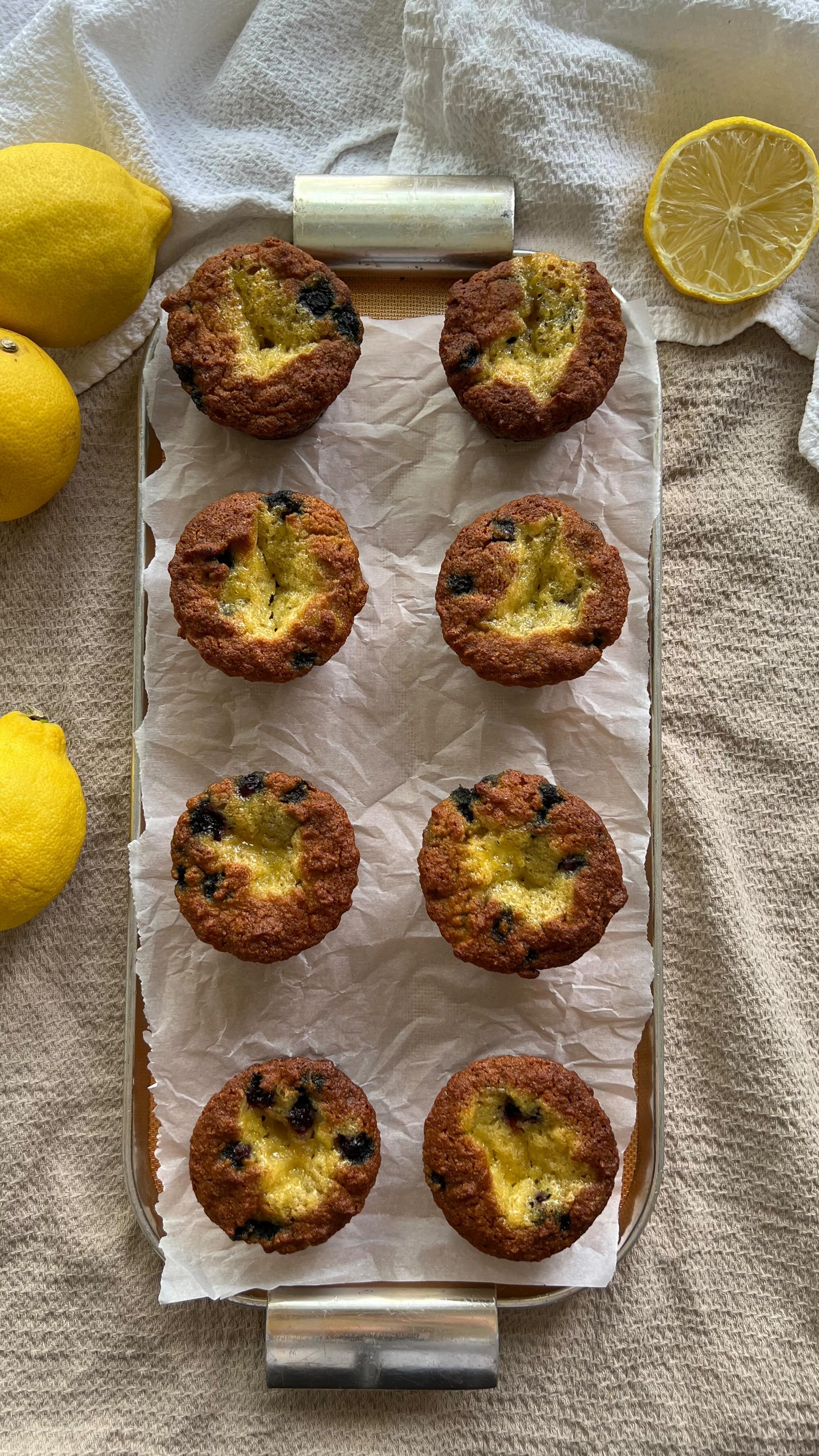 usher in spring w these blueberry lemon curd muffins that are also grain free & refined sugar free. made w my homemade lemon curd that’s sweetened w honey (sooo good for everything, including putting inside of muffins 🍋✨) and a coconut flour blueberry filled muffin 🫐😌

comment “recipe” and i’ll dm you the link🌸💌!

follow @earth.to.rose for more! 

grain free muffins • grain free • refined sugar free • healthy muffins • grain free recipes