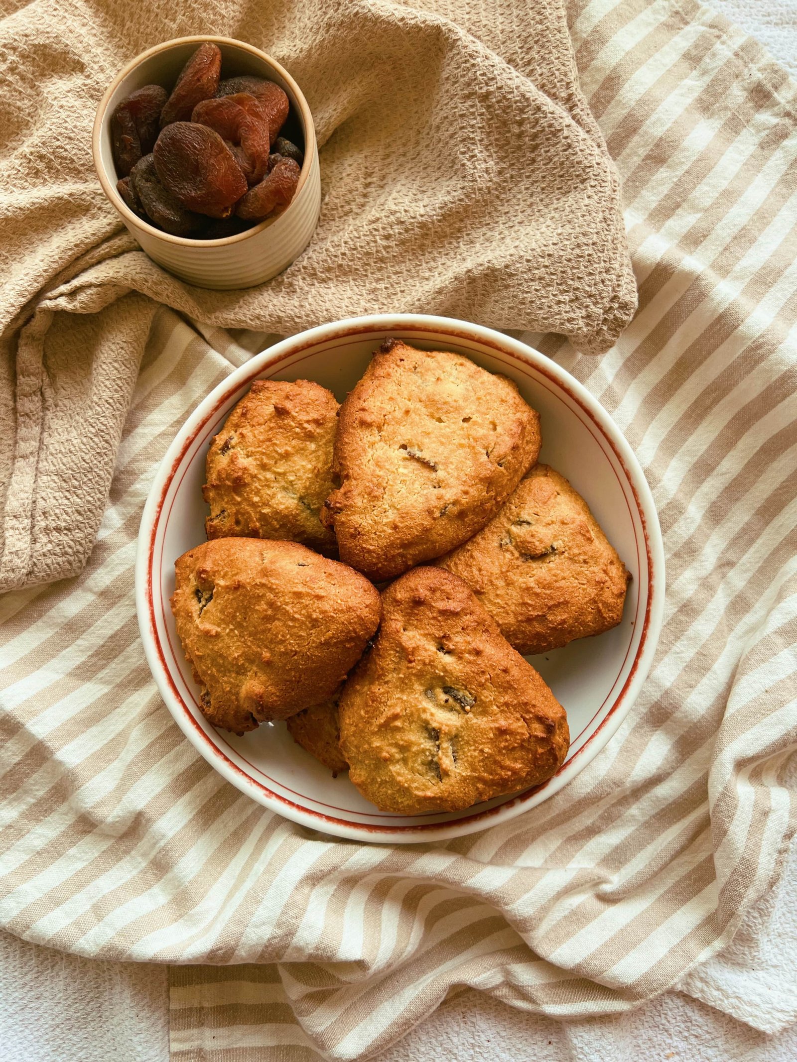 grain free apricot scones (scd diet)