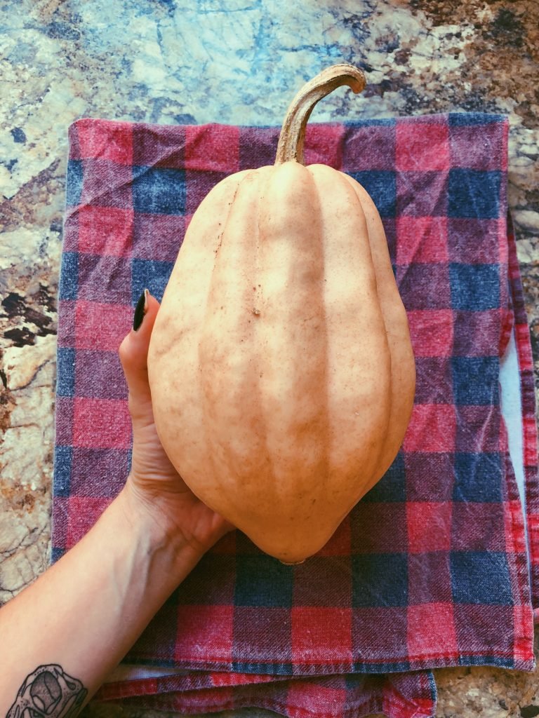 no-potato squash latkes (grain free, scd)