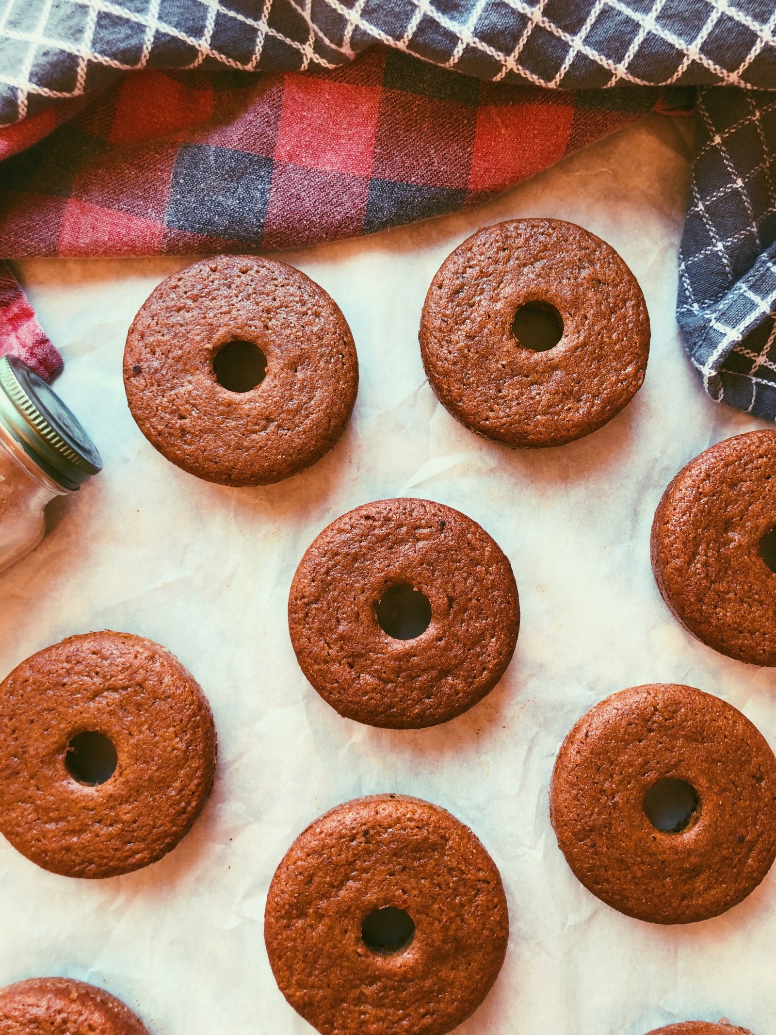 old-fashioned, plain donuts (grain free, scd diet, no refined sugar)