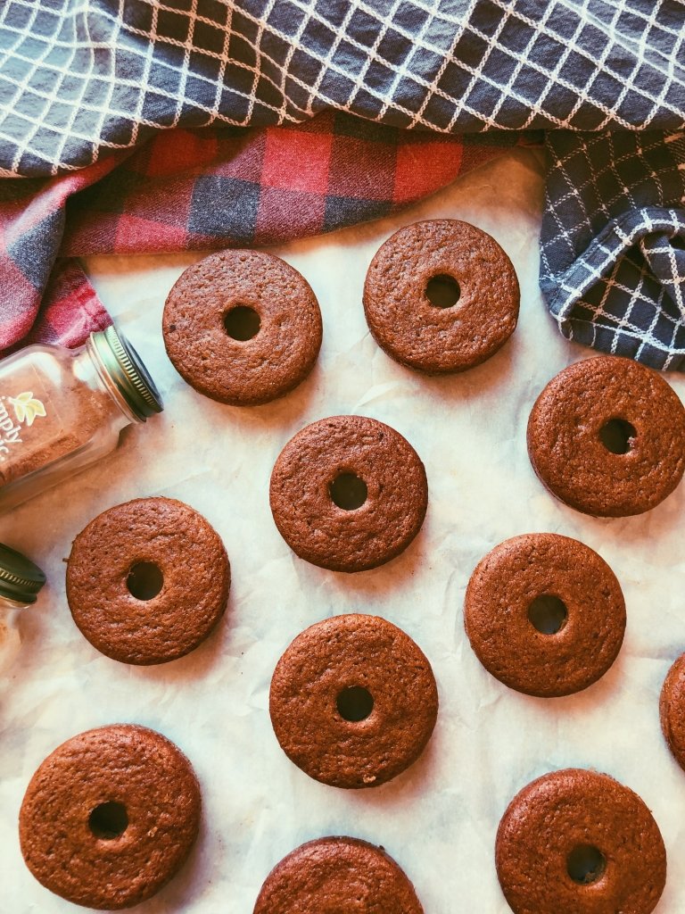 old-fashioned, plain donuts (grain free, scd diet, no refined sugar)