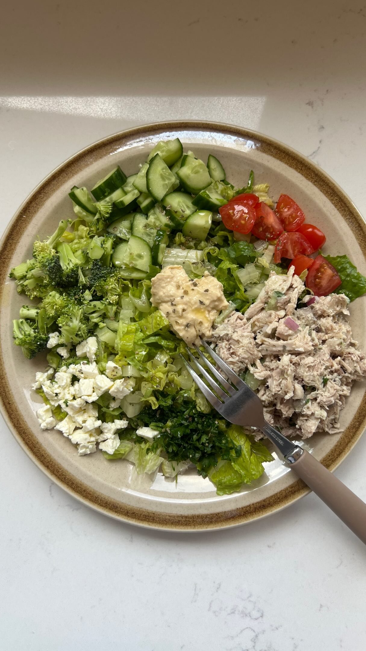 my daily salad ep 19 |

🥬follow @earth.to.rose for more salad inspo 🥬

salad x salad = even more salad 😎 today i added some chicken salad to my regular salad to use up chicken thighs i had boiled for broth. also pro tip, make homemade chicken broth and then make chicken salad for packed or at home lunches!! so easy to batch it. i didn’t make a lot becuz i only boiled 2 thighs but if you do it on sunday you not only have homemade broth for any cooking you do during the week you also have lunches figured out for monday 😗

for my chicken salad i usually use my homemade yogurt instead of mayo cuz i just don’t love mayo. but i didn’t have any so i used the extra virgin olive oil mayo from @maisonorphee which is really good and better-for-you 🙃 and then i like to add finely chopped cucumbers and red onions as well as salt, pepper, and today, parsley just cuz i had it. i added hummus to the salad as well and with the chicken salad and hummus combined it was nice and creamy and you couldn’t tell that i didn’t rly make any salad dressing!! wooh ✌️