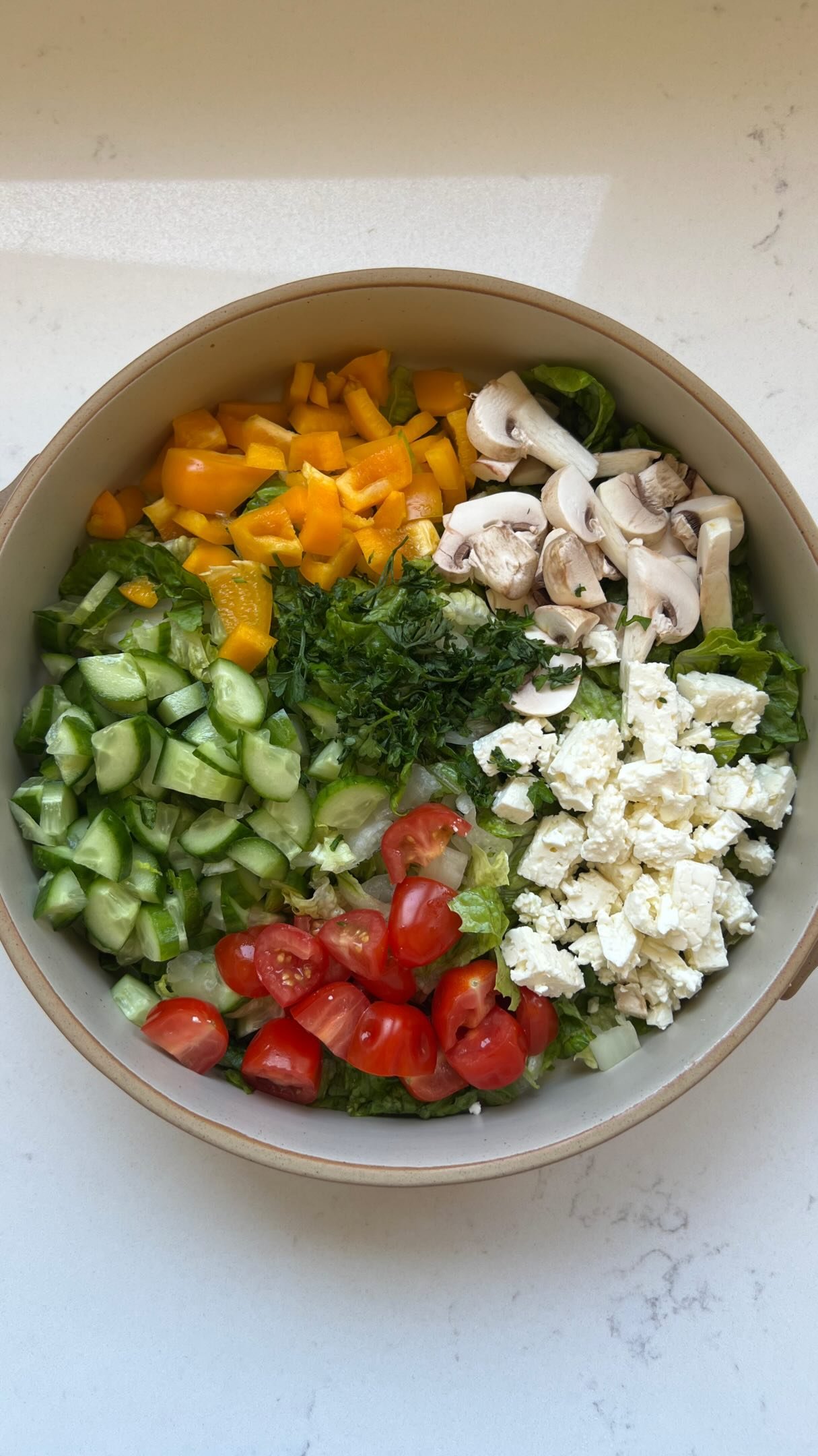my daily salad ep 17 |

follow @earth.to.rose for more salad inspo!!

this was going to just be my lunch salad video but it turned into a big salad because i was like might as well have some leftovers for tomorrows lunch ✌️🥗 but i loveee mixing rice into my salad along with chicken (or tuna/salmon etc), something about the warm with the cold and all the different flavours just so gooood 😌✨however i do think it is of UTMOST importance to have a bomb salad dressing otherwise the whole thing will be a FLOP trusssssmi. so start by making a homemade vinaigrette and the world is your oyster 🦪 i shared a quick homemade salad dressing in my last salad video so you can go check that out too if you need more inspo 🫜