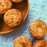 lemon cheesecake muffins (grain free, scd diet)