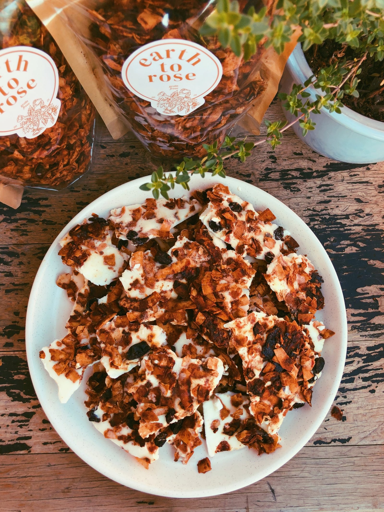 frozen yogurt & granola bark