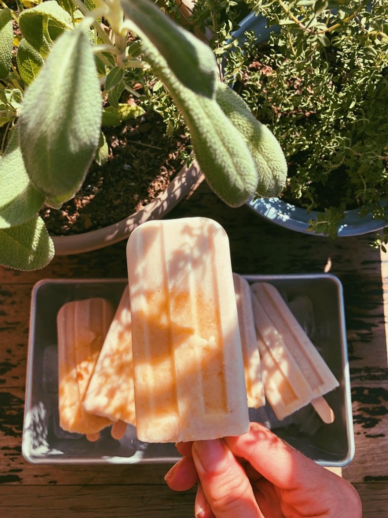 peaches n cream popsicles (refined sugar free, scd diet)