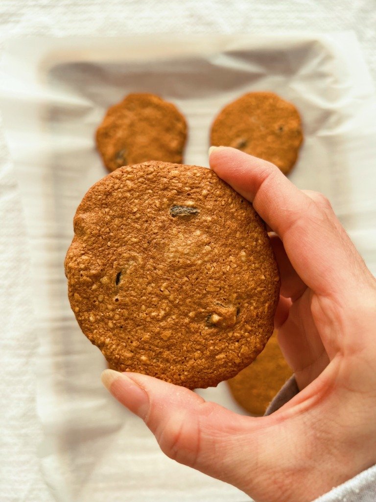 n'oatmeal raisin cookies (grain free, no oats)