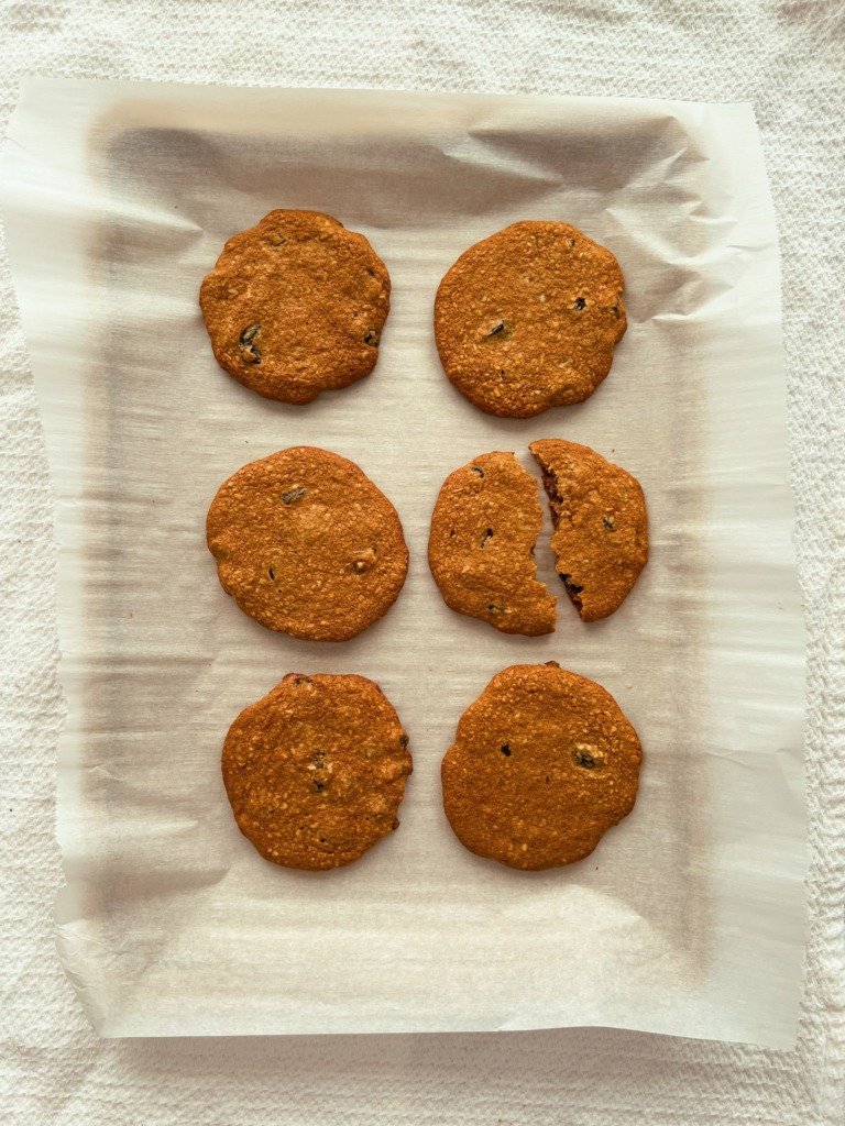 n'oatmeal raisin cookies (grain free, no oats)