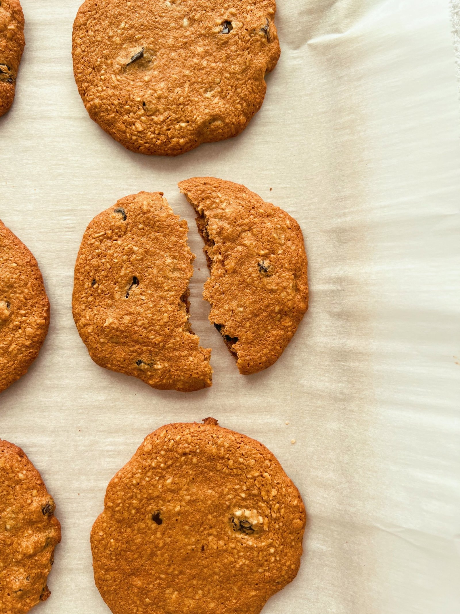 n'oatmeal raisin cookies (grain free, no oats)