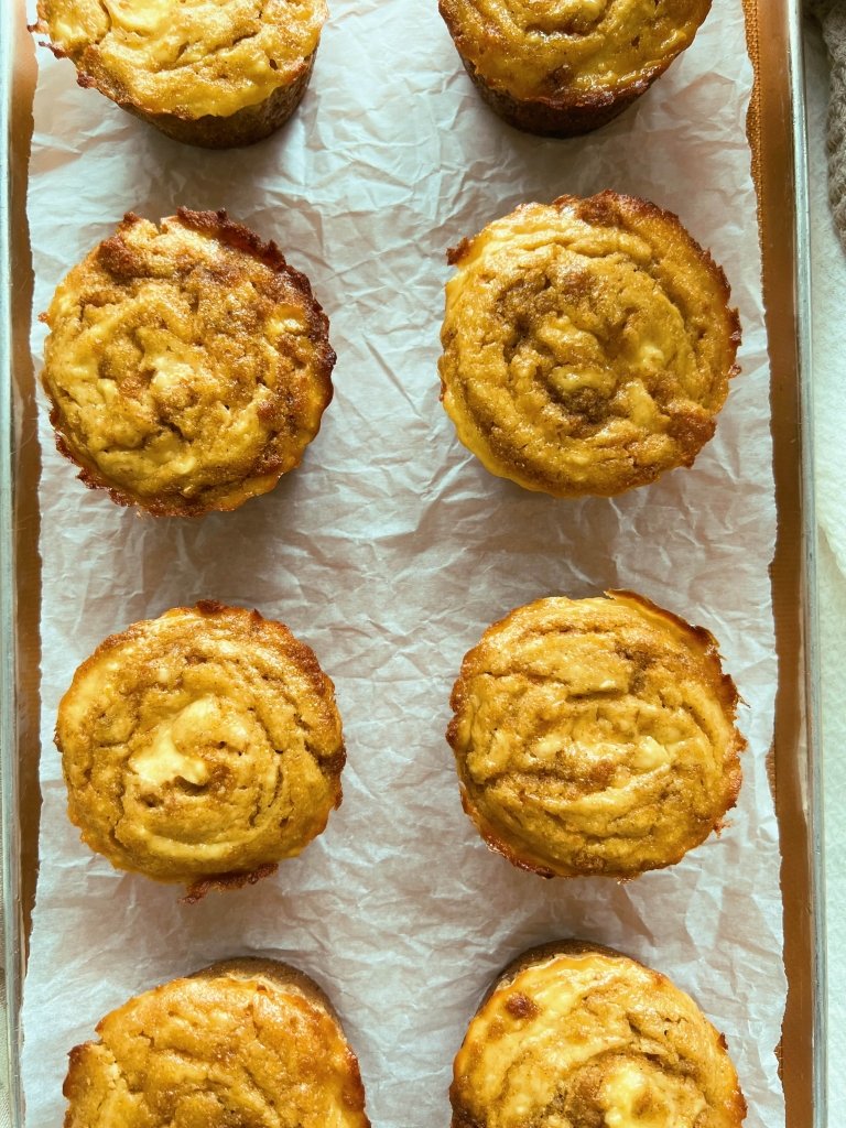 pumpkin cheesecake swirl cupcakes scd diet grain free