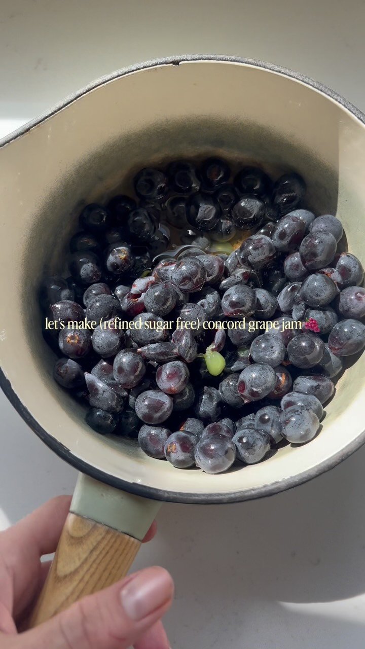 i have a habit of taking whatever fruit i want and boiling it down into jam 🍇💗🤌it is actually so easy to make your own jam, you don’t need to get fancy with canning and stuff (but also you can, i never have! i just make it and eat it asap 😅my whole family uses jam in yogurt almost daily so we can finish it quickly). 

you really just need to throw some fruit in the pot, and let it simmer with some honey. optionally you can always add gelatin to make it a bit thicker but once it cools down it will thicken more naturally (i didn’t add anything to the grape jam except honey, and next time i would potentially add a bit more cuz it was still quite tart!) you can also add a squeeze of lemon which naturally helps the fruit thicken (!) and balance out any sweetness (again these grapes were more tart than sweet, i didn’t add any lemon lol but ill do a squeeze from a fresh lemon to the pot for strawberry jam). if you’re unsure what amount of fruit to use, 2 cups is always safe, and 3-4 tbsp of honey. i let it simmer for like 30 minutes on low while i do other things in the kitchen 💁‍♀️✨ my kids have been loving this one on their yogurt in the morning, but also ofc for pb & j!! 

homemade grape jam • concord grapes • refined sugar free recipes • no refined sugar • homemade jam